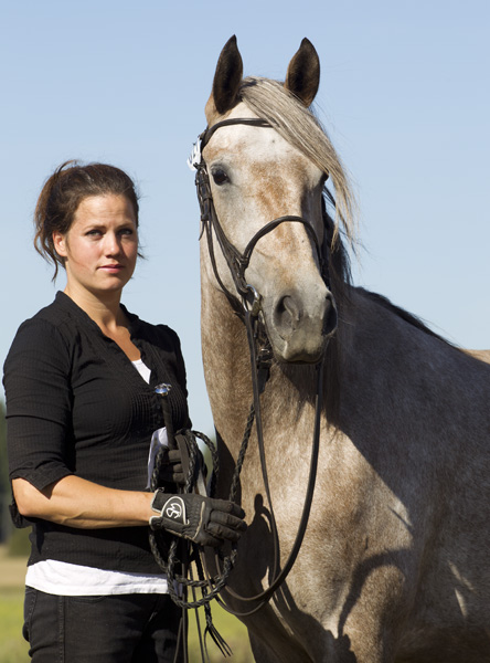 Maestoso Bellami - sommarpremiering 2013