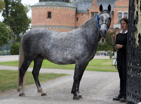 Saga & Hanna på Rockelsta, 2013