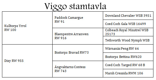 viggo_stamtavla