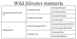 zilvester_stam