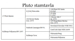 pluto_stamtavla