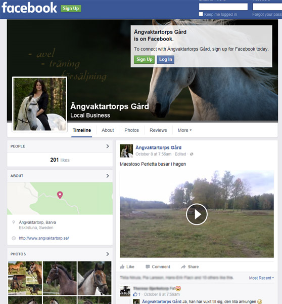 facebookbild