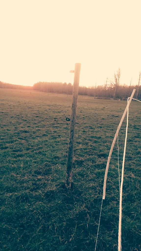_20160430_072741