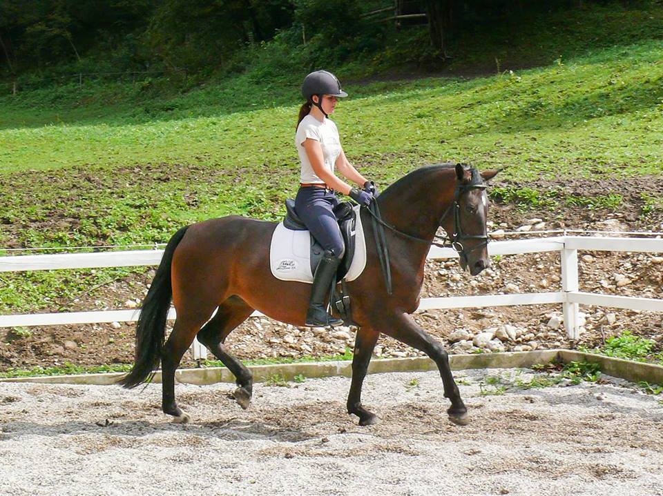 Rama, hösten 2015, Slovenien. Ryttare Nina Vidmar.