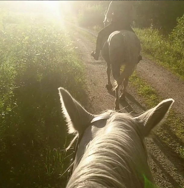 langtur_sommar2017