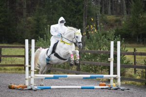 Läs mer om artikeln Pay & Jump – Halloweenhoppning | 1 november 2025