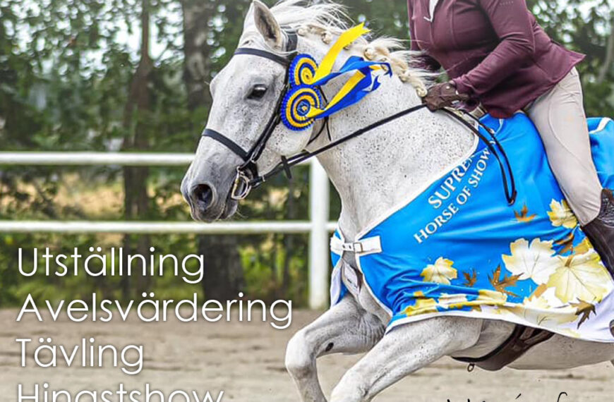 Lipizzanerhelg 5-6 juli