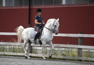 Läs mer om artikeln Ridweekend 12-14 juni 2026