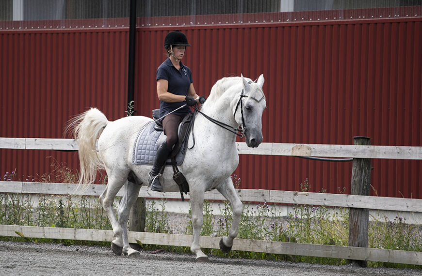 Ridweekend 12-14 juni 2026