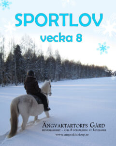 Läs mer om artikeln Sportlovet – vecka 8, 2026