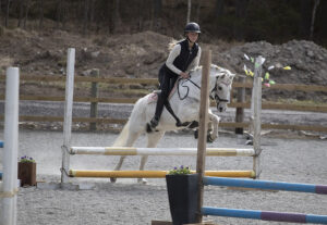 Läs mer om artikeln Påskhoppet  – P&J 11 april, 2026