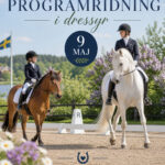Läs mer om artikeln Programridning dressyr 9 maj 2026
